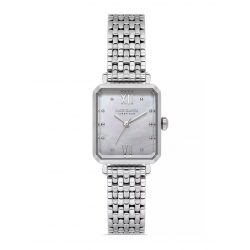 DICE KAYEK DK.1.AG1416.01 BAYAN KOL SAATİ