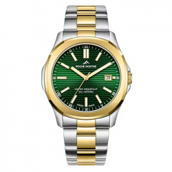 ROCHE MONTRE RMG6005-06 ERKEK KOL SAATİ